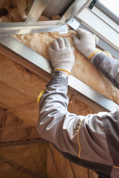 Best Specialized Insulation Services in Dover Beaches South, NJ