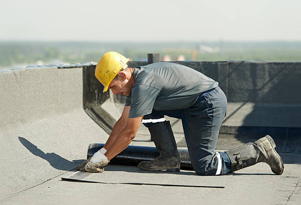 Best Eco-Friendly Insulation in Dover Beaches South, NJ